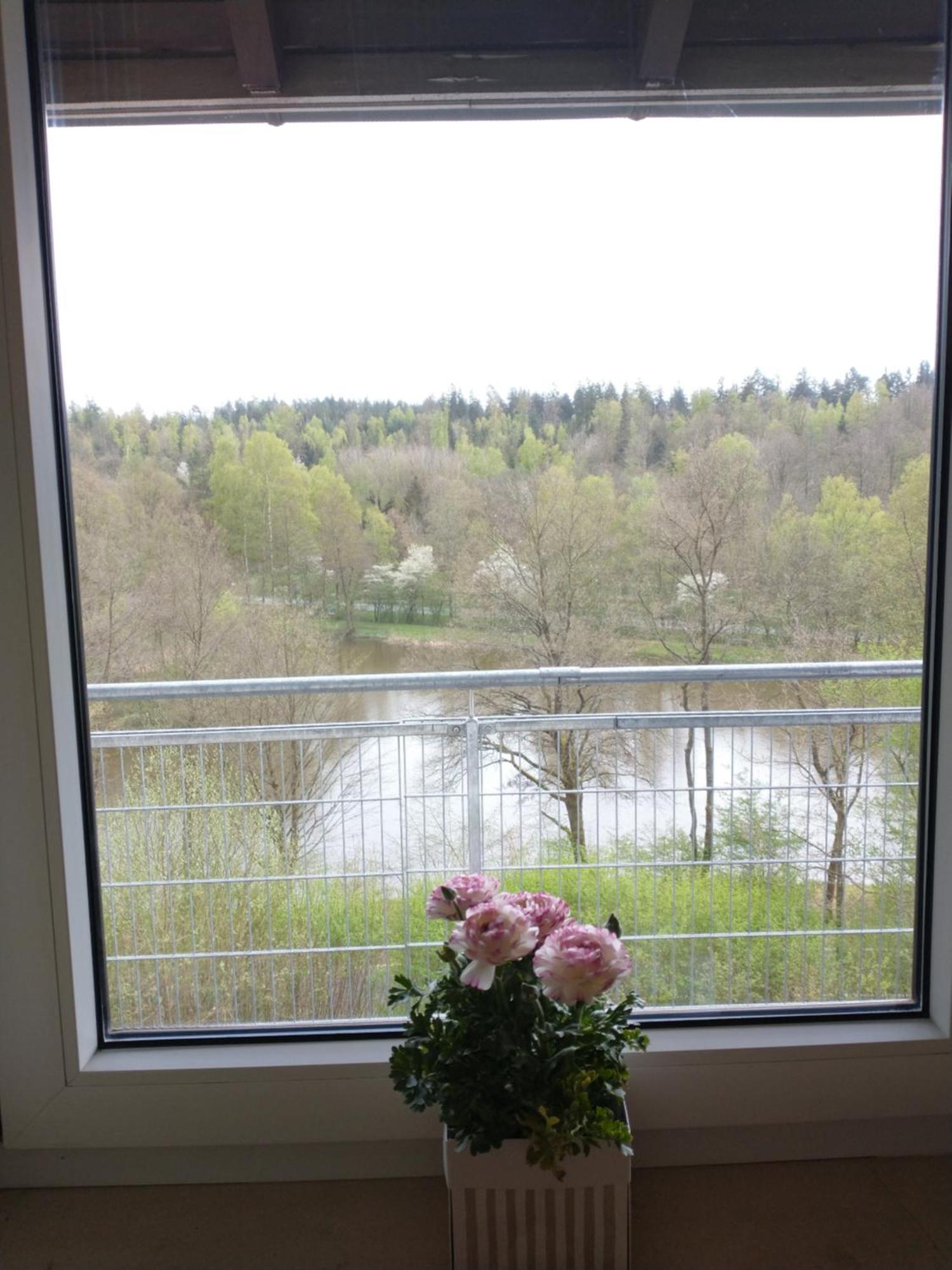 Immensee Apartment *